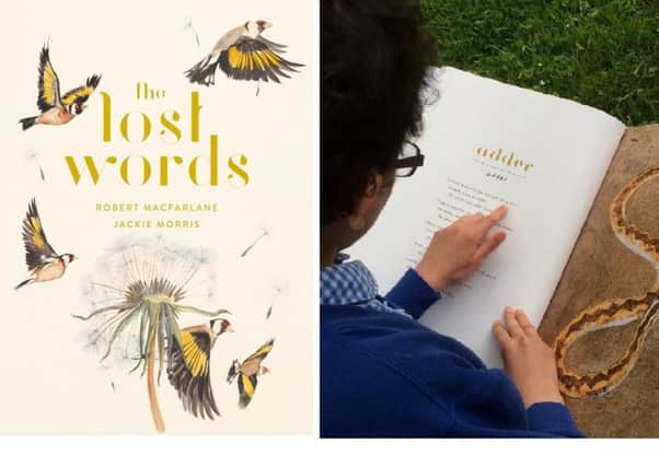 Lincs Wildlife Trust aims to get a copy of the book The Lost Words in every primary and special school across the county. Images supplied.