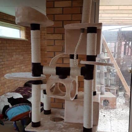 A view of one of the sanctuary's cattery blocks. Image supplied.