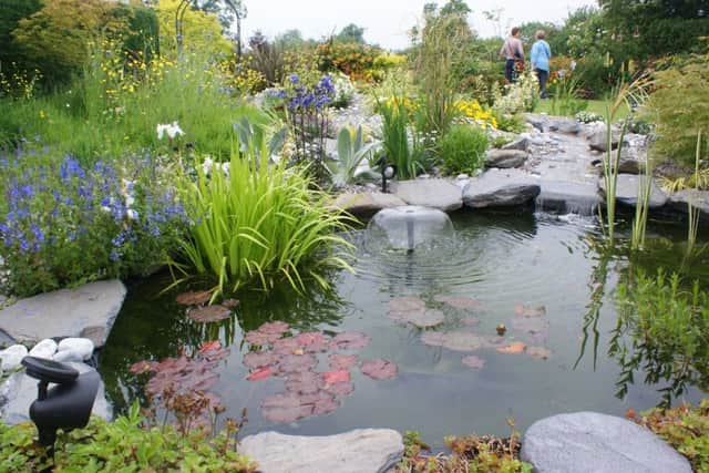 Open gardens at Cadney and Howsham EMN-181106-085118001