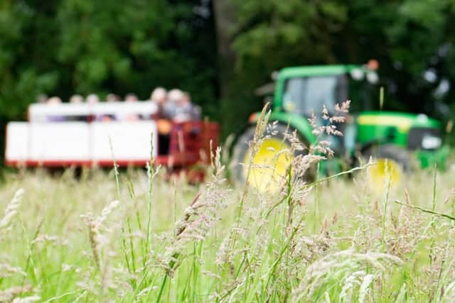 Enjoy a trailer ride at Gunby Hall as part of National Meadows Day. EMN-180615-113636001
