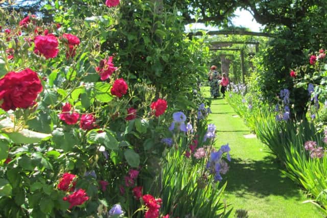 Rose day at Gunby Hall EMN-180613-120342001