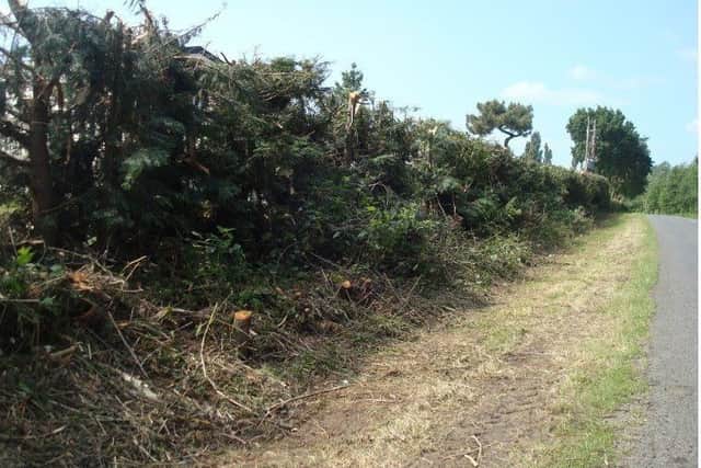 Demise of Tattershall hedgerow EMN-180615-153309001