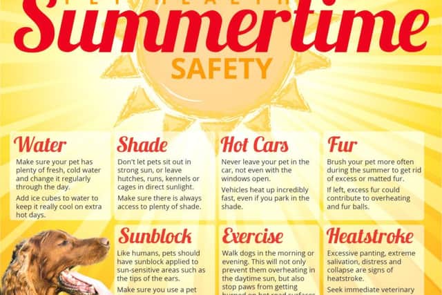 Summertime safety advice for your pets.