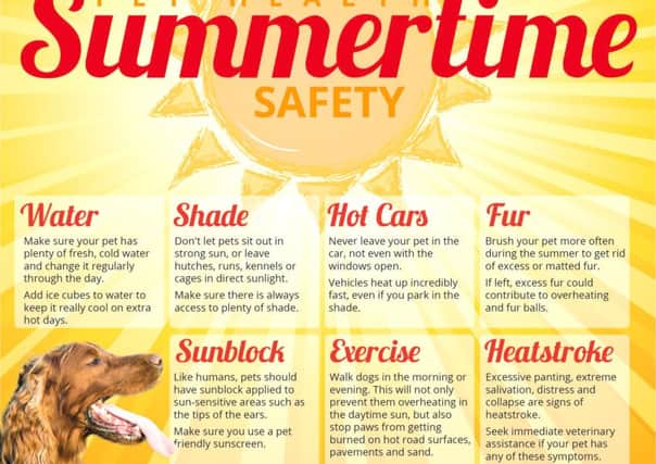 Summertime safety advice for your pets.