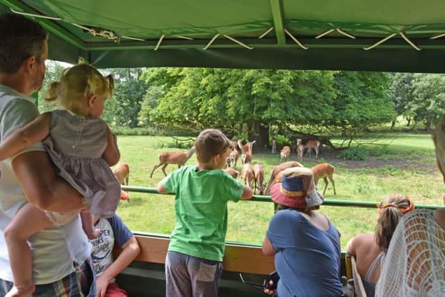 The Deer Safari was a popular attraction for mums and dads with children EMN-180625-211742001