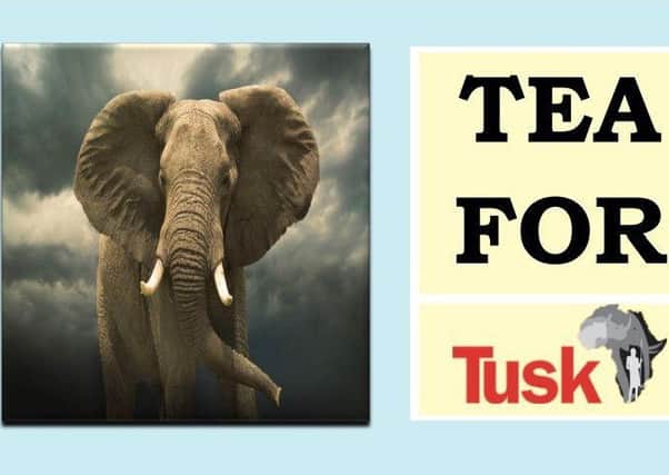 Tea for Tusk EMN-180626-163350001