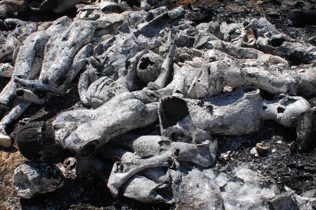 Ashes. the heat of the fire has reduced some of the mannequins to ashes.