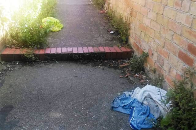 Litter in the Gatherums.
