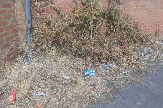 An accumulation of litter and dead foliage on the pavement in Church Street.