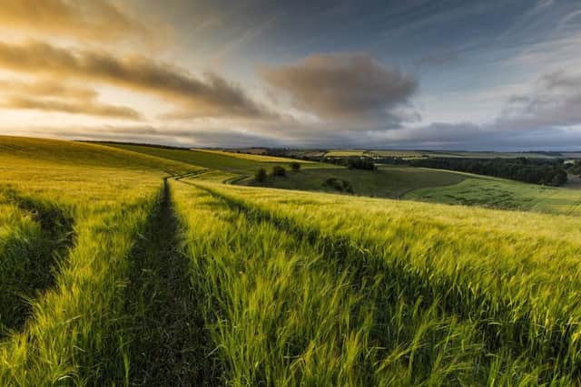 Lincolnshire Wolds