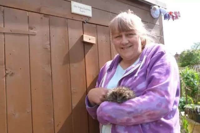 Laurie Fox who runs Caistor Hedgehog Care (photo by Linda Oxley) EMN-180718-104808001