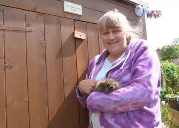 Laurie Fox who runs Caistor Hedgehog Care (photo by Linda Oxley) EMN-180718-104808001
