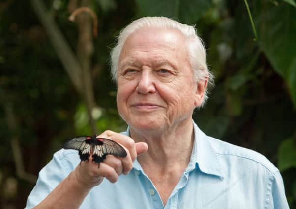 Sir David Attenborough is encouraging residents in Lincolnshire to take part in The Big Butterfly Count. Picture: Helen Atkinson/Yellowsnapper. EMN-180719-141713001