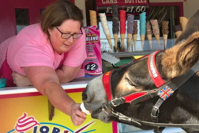Sooty, one of John Nuttall's donkeys, enjoying an ice-cream. ANL-180727-102148001