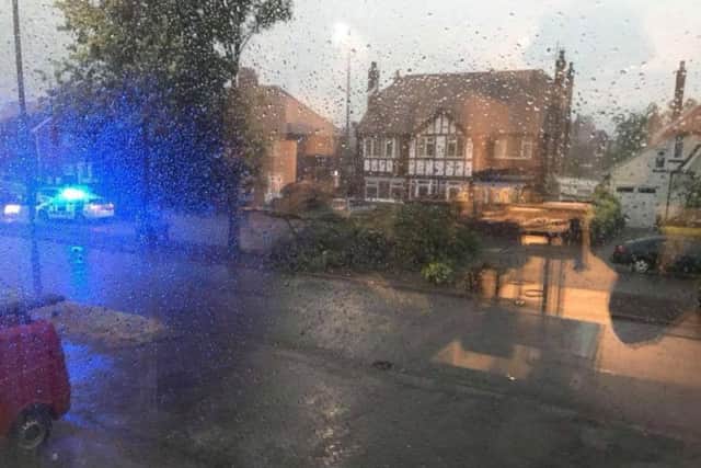 Weeks of dry weather have left trees parched and at risk of blowing down. There were several reports of trees down in Skegness. This image by Ali Fisher. ANL-180728-084402001