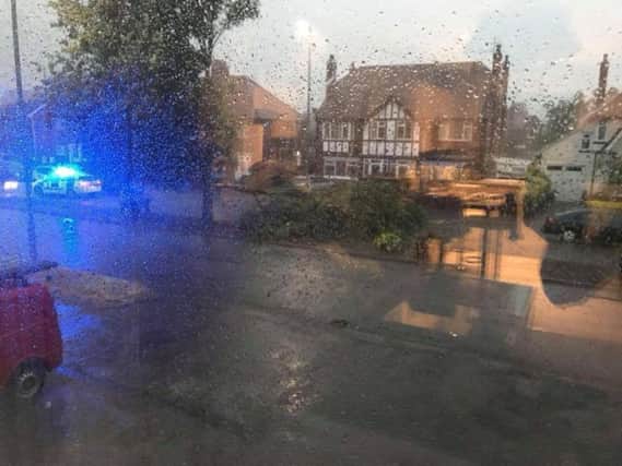 Weeks of dry weather have left trees parched and at risk of blowing down. There were several reports of trees down in Skegness. This image by Ali Fisher. ANL-180728-084402001