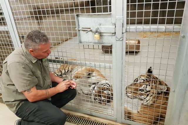 Steve Nicholls, CEO of the Lincolnshire Wildlife Park, with Bella. ANL-180730-110452001