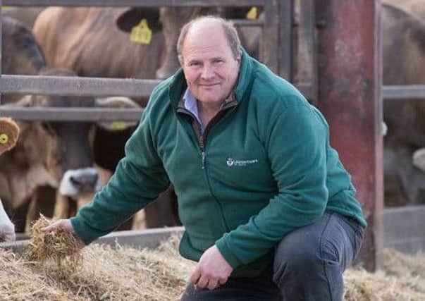 Louth farmer Andrew Laughton. Photo: Supplied Image.