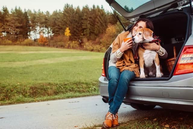Treat your pooch this International Friendship Day. Picture: stock image. EMN-180108-111414001