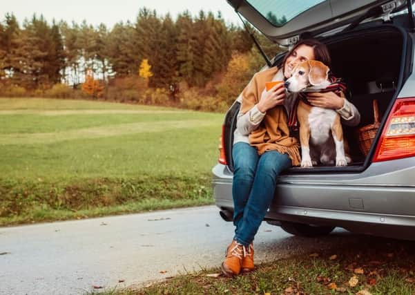 Treat your pooch this International Friendship Day. Picture: stock image. EMN-180108-111414001
