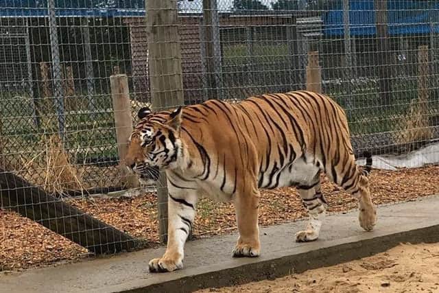 Wildlife park open day EMN-180208-180944001