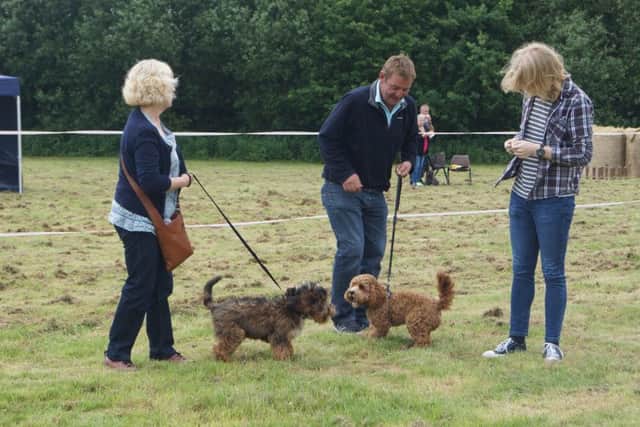 Enjoy a fun dog show at Ranby EMN-180408-205235001