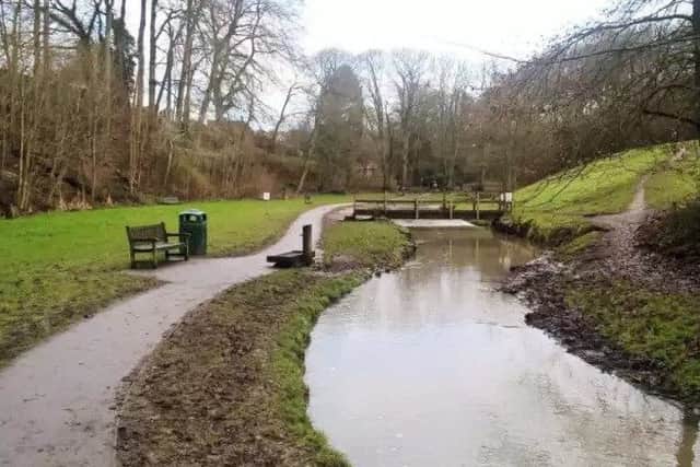 Dog walkers are being asked to take responsibility for their animals when near the wildlife at Hubbards Hills.