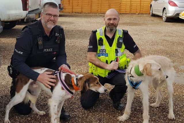 Police seized two dogs used for hare coursing. EMN-180908-142600001