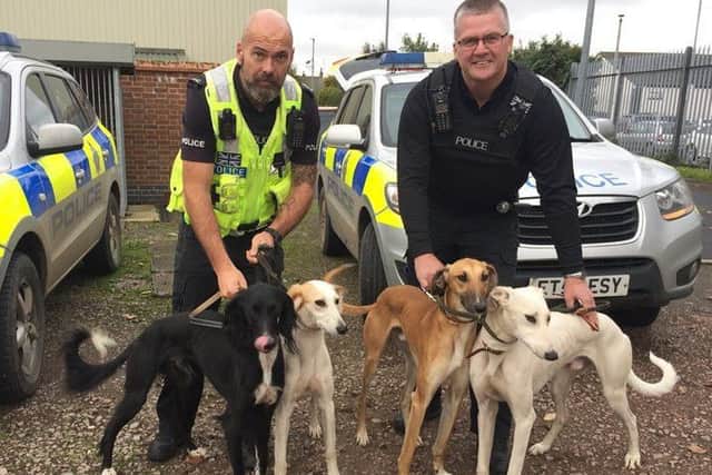 More dogs seized by Lincolnshire Police as part of Operation Galileo. EMN-180908-142632001