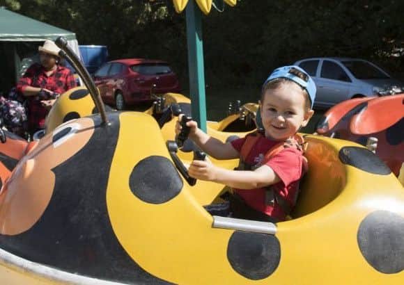 Stanley Mansbridge takes a ride on a ladybird.