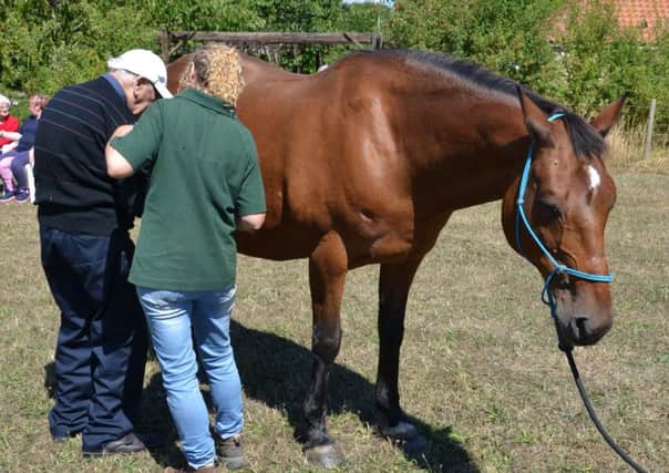 Ashdene Care Home resident Jim Sekker enjoys some equine therapy at FEAL.