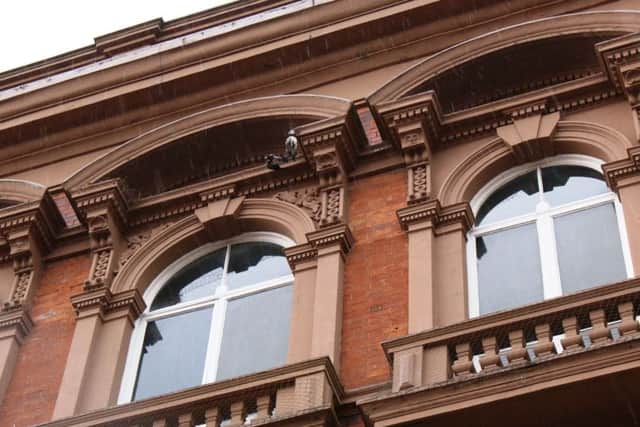 Two dead pigeons have been discovered caught up in netting which is used to protect Louth Town Halls sandstone building.