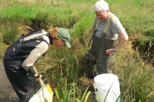 Surveying the crayfishs new home in a chalk stream in the Wolds.