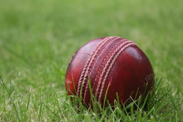 Cricket