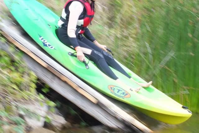 Otters have fun at Whisby Lakes EMN-180828-123138001