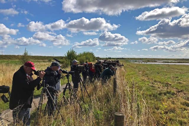 Birdwatchers flocked to Frampton Marsh after the sighting _Picture by Jim Lawrence