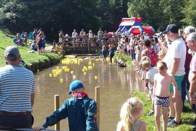 The River Lud through Hubbards Hills was filled with bright yellow ducks last Sunday, (September 2).