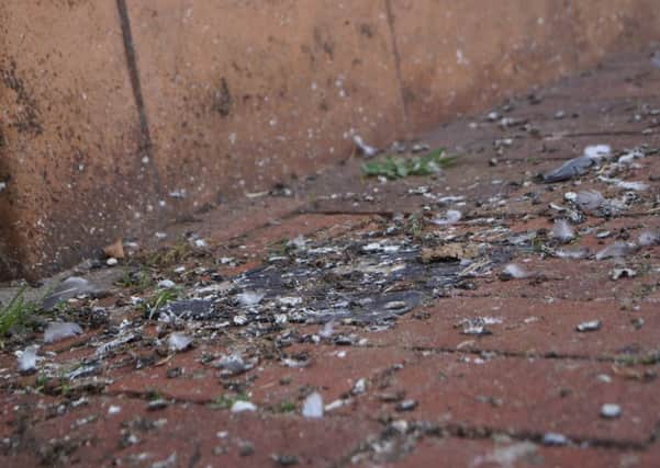 Pigeon mess outside the closed banks in Market Rasen market place EMN-180409-091017001