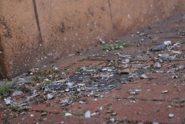 Pigeon mess outside the closed banks in Market Rasen market place EMN-180409-091017001