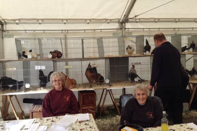 Janet Bullen and Geraldine Fern with birds on display at the Bicker Threshing and Classic Car Show.
