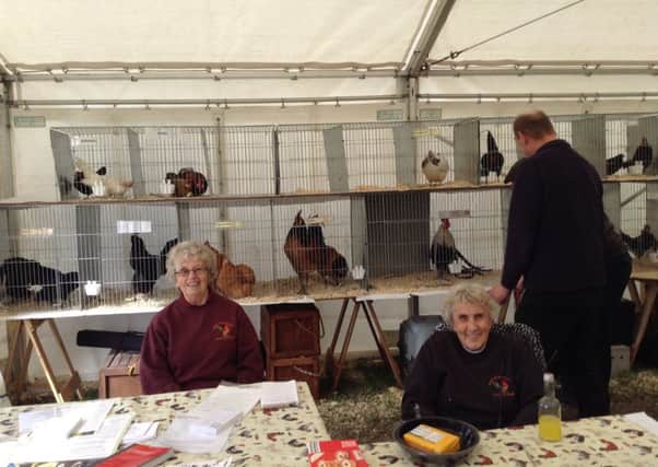 Janet Bullen and Geraldine Fern with birds on display at the Bicker Threshing and Classic Car Show.