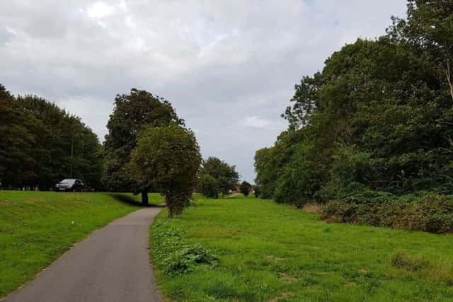 Skegness Town Council will be cutting grass in areas where ownership is disputed. ANL-181209-090342001