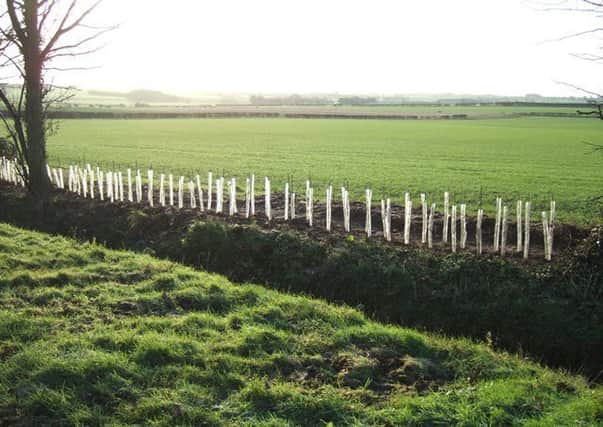 Grants are now available for projects in the Lincolnshire Wolds.