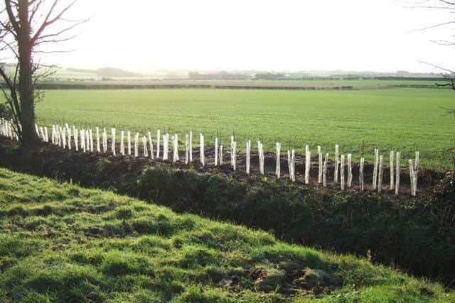 The Lincolnshire Wolds.