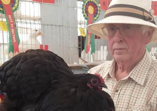 Poultry winners at Wragby Show EMN-180914-071138001