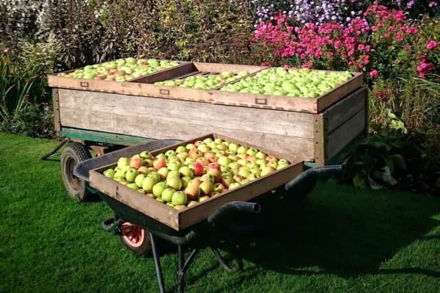 Staff at Gunby Hall are looking forward to the return of the ever popular Apple Day which saw 850 people attend last year.