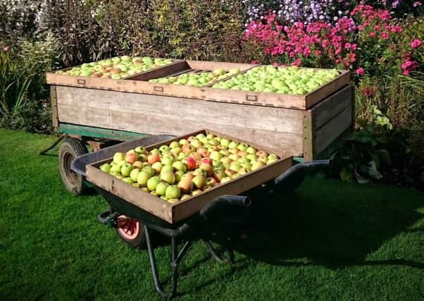 Staff at Gunby Hall are looking forward to the return of the ever popular Apple Day which saw 850 people attend last year.