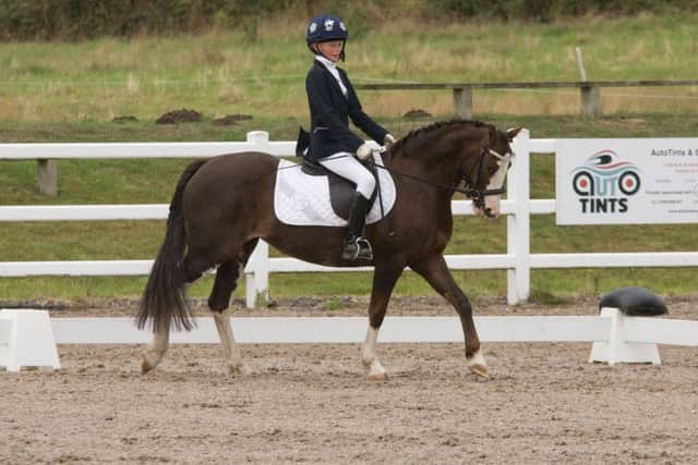 Harley Snell competes in the inaugural Willow Bank dressage test Picture: Lew's Photography EMN-180919-172819002