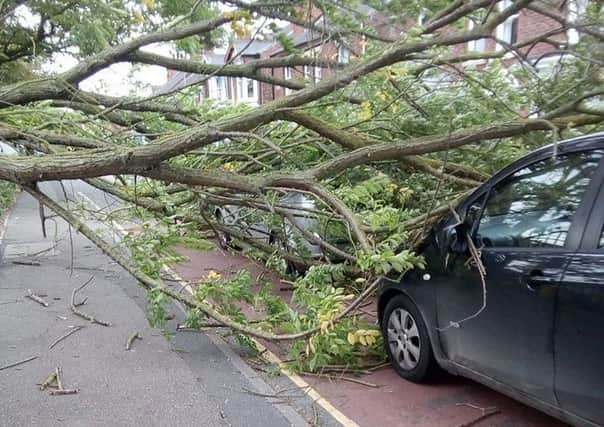 A tree came down on two cars in Tawney Street, Boston. Photo: Anna Warsap ANL-180919-175439001