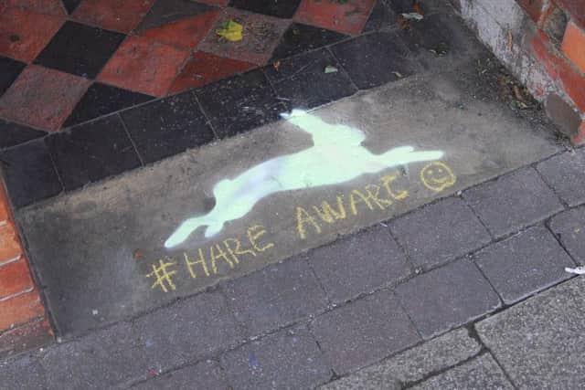 New Hare Aware chalk paintings are to begin appearing around Sleaford. EMN-180928-094823001